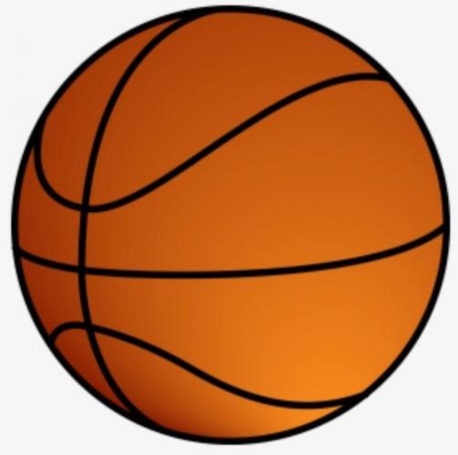 Logo Lila sport club